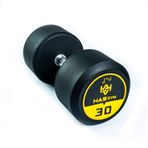 Alin HASGYM 30 KG Kauçuk Kaplı Profesyonel Olimpik DUMBBELL ( Dambıl )