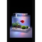 ALION AKVARYUM 15 CM LED AYDINLATMA 12 VOLT MAVİ BEYAZ KIRMIZI 2835 ŞERİT