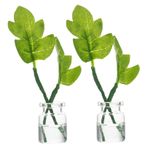 Alipis 2 Adet Minyatür Monstera Yaprak Mini Ev Mini Bonsai Modeli Mini Saksı Bitki Dekorları