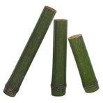 Alipis 3 Adet Bambu saksı bitki küçük kaplar bahçe bambu ekici tencere flowerpots bonsai ekici saksılar bambu çiçek aranjmanı vazo Çiçek Ekici minimalist çiçek vazo Green