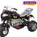 Aliş Go-Way 12 V Akülü Motor