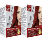 Alix 6.66 Yoğun Kızıl 50 ml 2'li Set Kit Saç Boyası