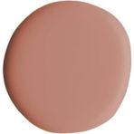 Alix Avien Nude Oje 47 - Yüksek Pigmentli Uzun Süreli Kalıcılık Hızlı Kuruma - Nail Lacquer 47 - Bej