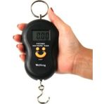 Alkılıç Elektronik Dijital El Kantarı 50 Kg Terazi Tartı 10 gr Hassas