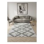 ALLGELSİN Lastikli Mikro Polar Halı Örtüsü 4m2 160x230 veya 6m2 200x300 Dört veya Altı MetreKare Halı Kılıfı