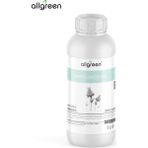 Allgreen Aspir Yağı - Safflower Oil - 100 ml - Sabun ve Kozmetik Üretimi İçin Doğal Bir Hazine