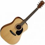 Allians Akustik Gitar, Profesyonel ve Hafif, Yüksek Ses Kalitesi ve Dayanıklılık - Ahşap - Beyaz - Seçenek 1
