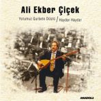 Allians Haydar Haydar Plak - Geleneksel Türk Müziği, Canlı ve Ritmik Melodiler