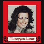 Allians Müzeyyen Senar Plak - Akşam Oldu, Hüzünlendim Ben Yine
