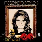 Allians Neşe Karaböcek - Ümidini Kirpiklerine Plak Müziği