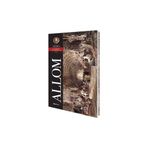 Allom Pitoresk İstanbul Kartpostal Kitabı - Thomas Allom