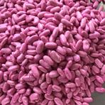 ALMAN AYŞE SIRIK FASULYE TOHUMU 100 GR (İLAÇLI)
