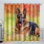 Alman çoban perdesi, 280 x 260 cm, karartma polyester, gromet üst, 2 parça, evcil hayvan dostu, oturma odası, yatak odası, çocuk odası, genç odası dekoru için ideal