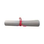 Almital Mobilya Aksesuarlari Almital 4 Adet Açık Gri Renk Suni Deri Amerikan Servis 48 x 30 cm.