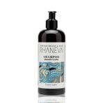 Almond Everyday Kuru ve Yıpranmış Saçlar için Şampuan, Organik ve Vegan Sertifikalı, 400 ml