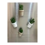 Aloha Design Kaktüs Magnet 4’lü - Karışık Renkli Buzdolabı Magnet Seti - Kaktüs Buzdolabı Süsü