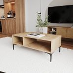 Alonex Home Tarz Orta Sehpa Yunus-Sepet 8013