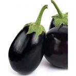 Alpagro Monde Doğal Topak Patlıcan Sebze Tohumu Topan 100 Ad. Yerli Tohum