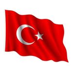 Alpaka Kumaş Türk Bayrağı (30x45cm)