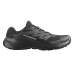 Alphaglide Gore-Tex Erkek Siyah Outdoor Ayakkabı L47802100