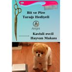 Alright Kavisli Gold Profesyonel Evcil Hayvan Köpek Tıraş ve Tasarım Makası Pire Tarağı Hediyeli