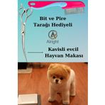 Alright Kavisli Gümüş Profesyonel Evcil Hayvan Köpek Tıraş ve Tasarım Makası+ Pire Tarağı
