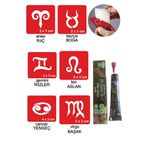 Alsepeteavm Burçlar Hint Kınası ile Geçici Dövme Seti