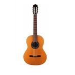 Altamira N100 Klasik Gitar