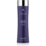Alterna Replenishing Moisture 250 ml Saç Kremi