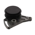 Alternator Kasnagı Rulmanlı (kutuklu) Passat A4 A6 1.6/1.8 20v/1.9tdı 95-01 Swag 30030029