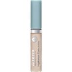 Alterra Hyaluronik Asit No.02 9 ml Kapatıcı