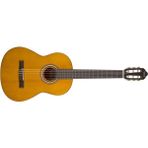 Altes Grup Klasik Gitar (Kilif Pena Yedek Tel Takimi)