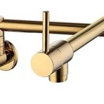 Altın Pirinç Tencere Dolum Musluğu Mutfak Musluğu Tek Soğuk Tek Delikli Musluk Döndürülebilir Katlanır Musluk Krom Lavabo Musluğu Duvara Monte(Polished Gold C)