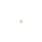 Altın Tragus Lotus Piercing