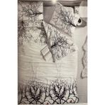 Altınbaşak Home Collection Pamuklu Ranforce Çift Kişilik Çeyizlik 200x220 cm Beyaz Nevresim Takımı