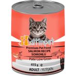 Altinpet Somonlu 24x415 gr Konserve Yetişkin Kedi Maması