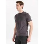 Altınyıldız Classics Antrasit Erkek T-Shirt PAE090000012_ATR - XL