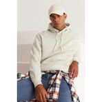 Altınyıldız Classics Erkek Pudra Standart Fit İçi Polarlı 3 İplik Kapüşonlu Kanguru Cepli Pamuklu Sweatshirt - Bej