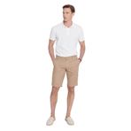 ALTINYILDIZ CLASSICS Erkek Vizon Slim Fit Dar Kesim Pamuklu Yan Cepli Armürlü Şort, Vizon, 48