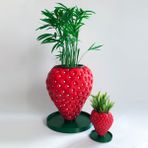 ALVİNA Çilek Saksı - Bioplastik - 15cm