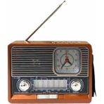 Alvo Store Buğz Vintage Nostaljik Radyo Aux USB Sd Kart Girişli Şarjlı Bluetooth Bağlantılı - Buğz
