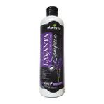 Alweyna Lavanta Ve At Kuyruğu Özlü Bitkisel 400 ml Şampuan