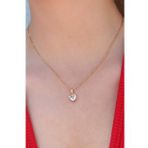 AlyaStore 316L Çelik Gold Renk Kristal Kalp Figür Kadın Kolye