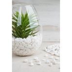 Alyones 1 kg Dolomit Taş 1-2 cm Akvaryum Taşı, Çakıl Taşı Bahçe, Saksı Taşı Dere Taşı - Beyaz