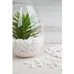 alyones 1 Kg Dolomit Taş 1-2 Cm Akvaryum Taşı, Çakıl Taşı Bahçe, Saksı Taşı Dere Taşı