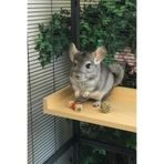 Alyones Çam Ahşap Platform | 20 cm x 40 cm Kuş/Degu/Chinchilla Tüneği