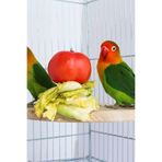 Alyones Çeyrek Daire Çivili Kuş Hamster Yemek Mama Tüneği Uş Mama Tutucu Doğal Ahşap Kuş Kafesi Tüneği