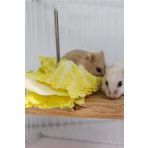 Alyones Çivili Meyve Sebze Asmalı Kuş, Hamster Asılı Tünek, Kuş Mama Tutucu, Doğal Ahşap Kuş Kafesi