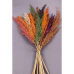 Alyones Kuru Çiçek Pampas 15 Adet 100 cm Boy - Karışık - Renkli