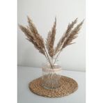 Alyones Kuru Çiçek Pampas Küçük 7'li Demet 50 cm (Natural) - Renkli
